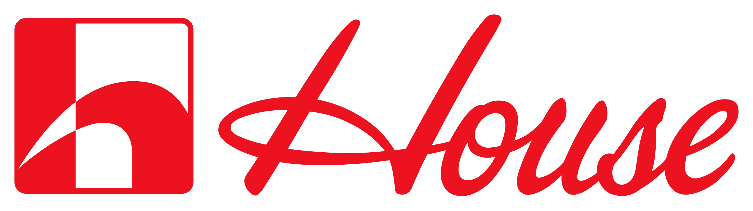 Bringing the Flavors of Asia to Your Kitchen